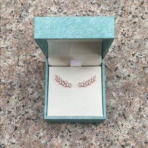 Elegant Rose Gold Sterling Silver Earrings